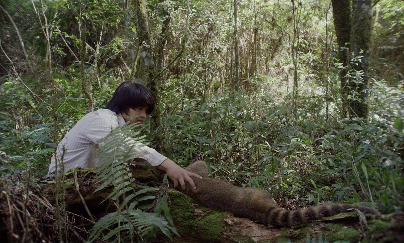 Cena de filme — encontro com a natureza